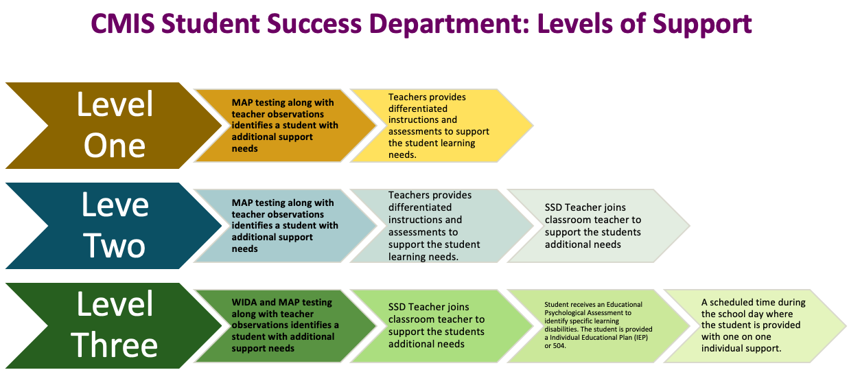 CMIS SSD Level of Support